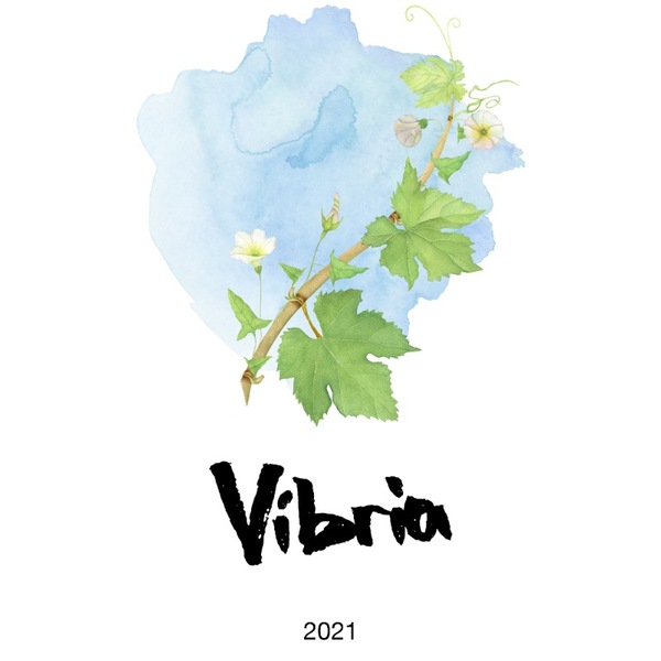 plp_product_/wine/sifer-wines-vibria-2021