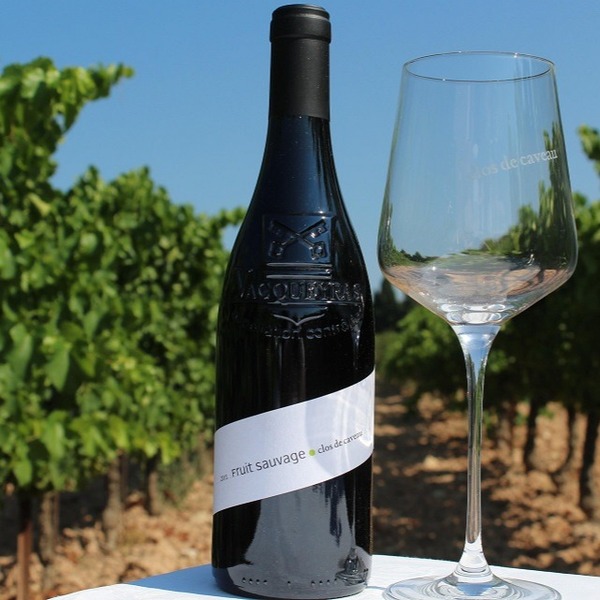 plp_product_/wine/le-clos-de-caveau-fruit-sauvage-2017