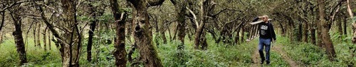 gallery_imgs