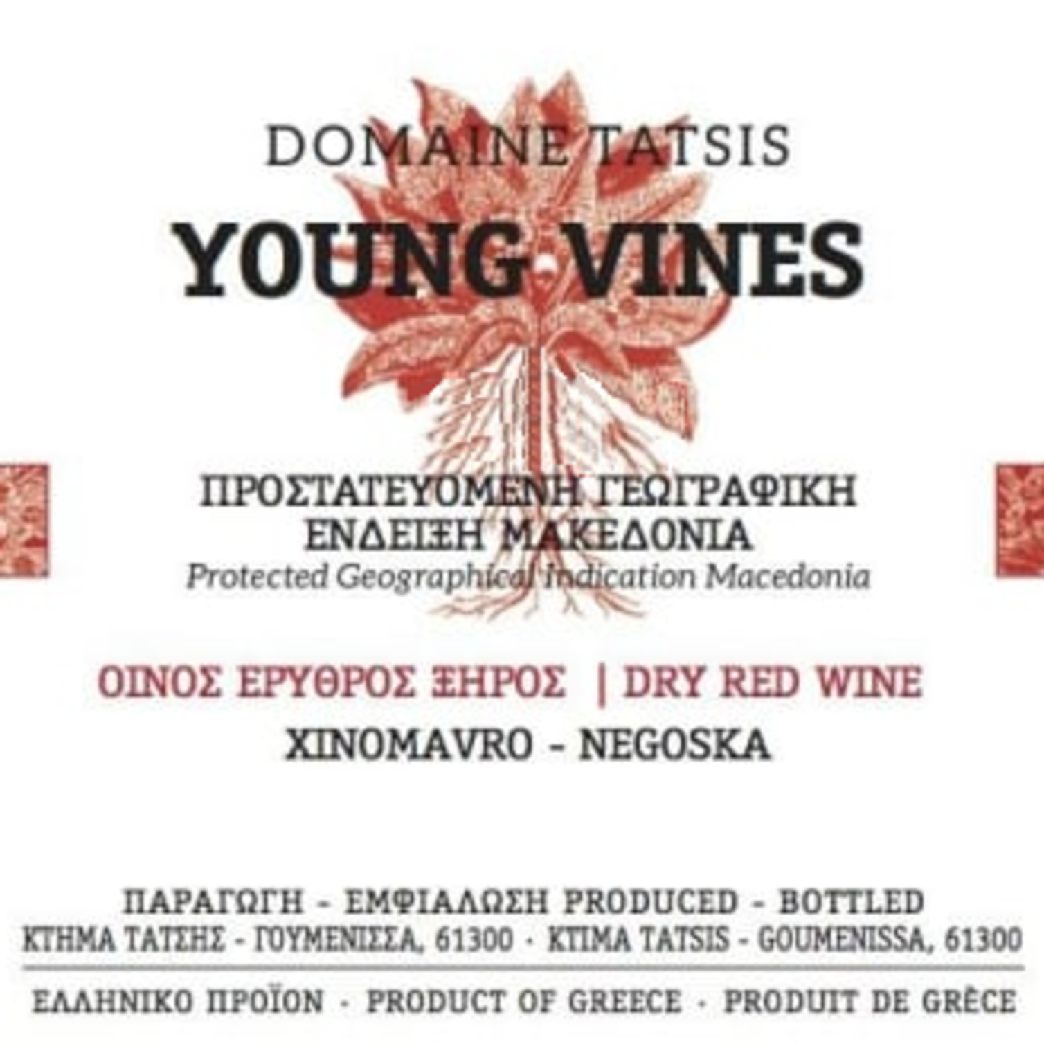 Young Vines RAW WINE