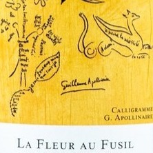 plp_product_/wine/domaine-brand-la-fleur-au-fusil-2021