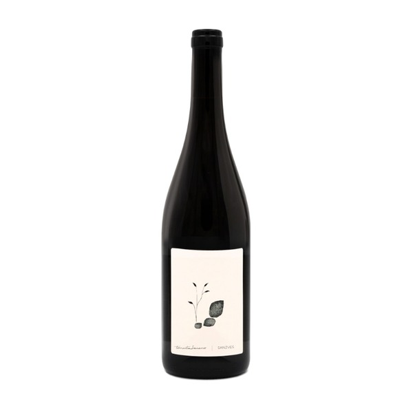 plp_product_/wine/tenuta-saiano-sanzves-2021