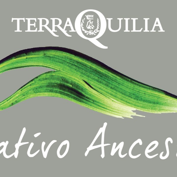 plp_product_/wine/terraquilia-il-nativo-ancestrale-2019