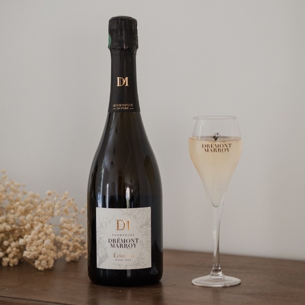 plp_product_/wine/champagne-dremont-marroy-eclosion-pinot-noir-2022