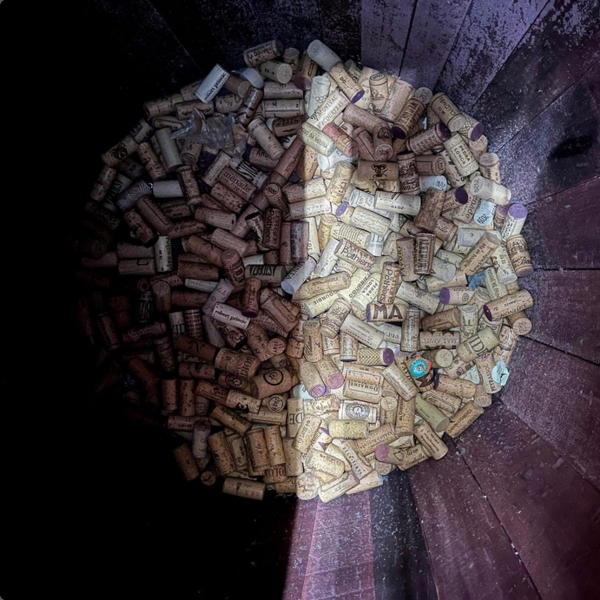 plp_product_/profile/vitis-vin