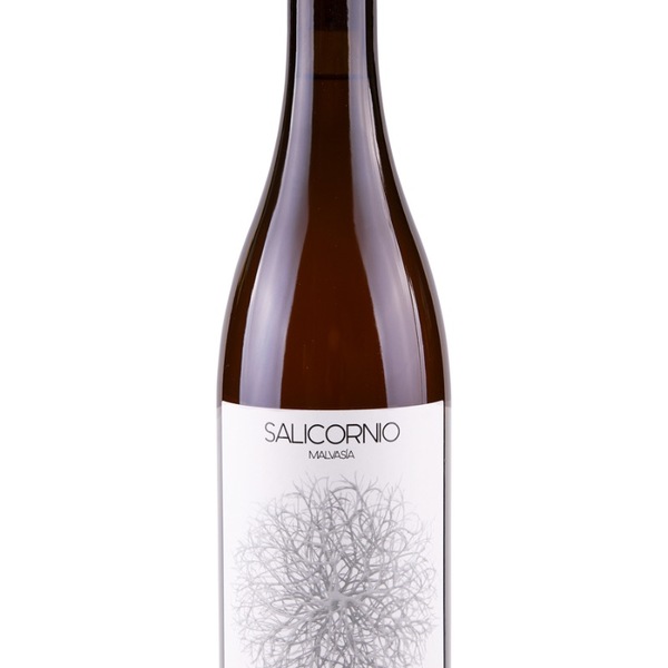 plp_product_/wine/casa-balaguer-salicornio-malvasia-2022