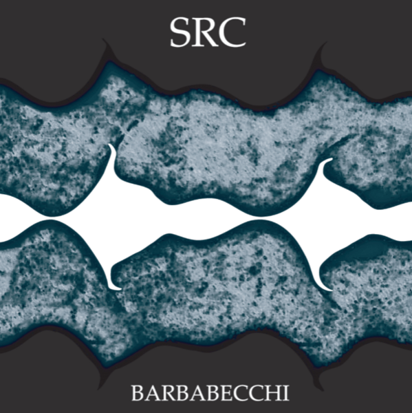 plp_product_/wine/src-vini-src-barbabecchi-2021