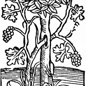 plp_product_/profile/le-vin-nature