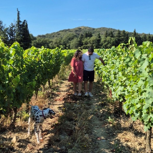 plp_product_/profile/domaine-de-mathalis