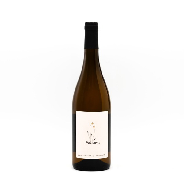 plp_product_/wine/tenuta-saiano-trebbiamo-2021