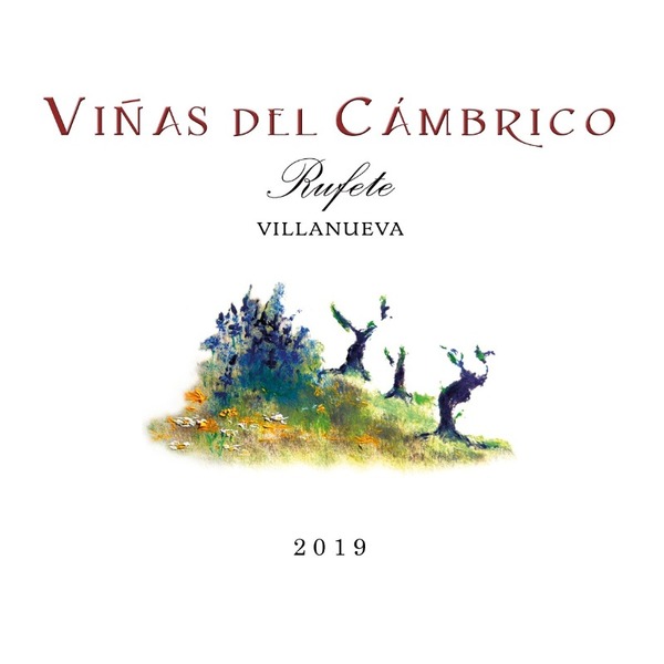 plp_product_/wine/cambrico-vinas-del-cambrico-villanueva-2019