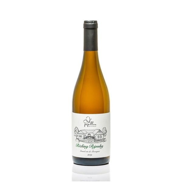 plp_product_/wine/papillon-vino-od-francuza-rizling-2019-white