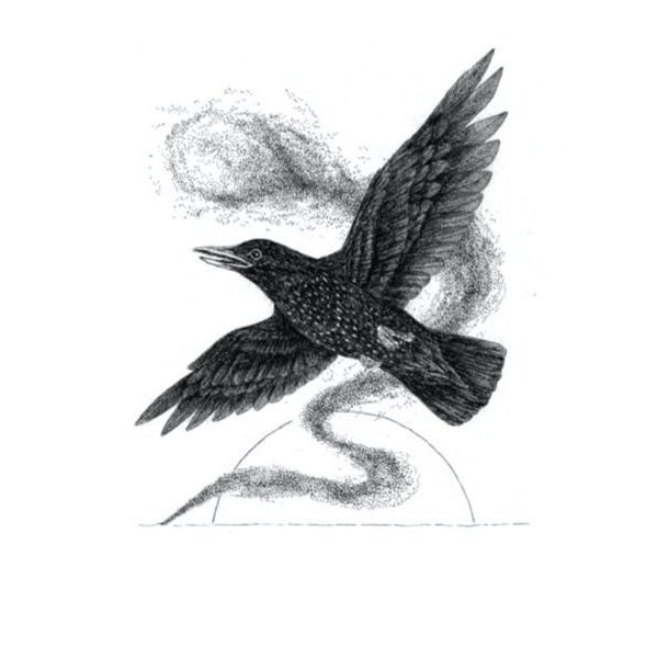 plp_product_/wine/arrowood-farms-brewery-starling