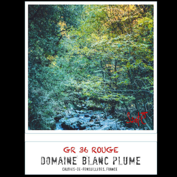 plp_product_/wine/domaine-blanc-plume-gr-36-rouge-2021