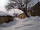 gallery_imgs