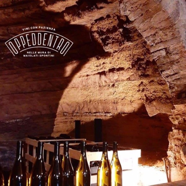plp_product_/profile/oppeddentro