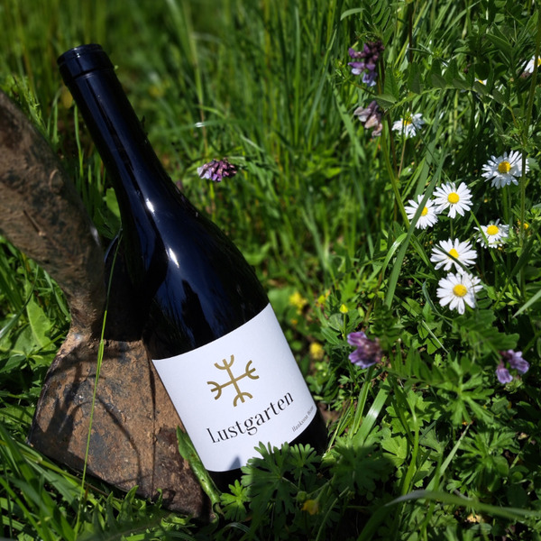 plp_product_/wine/hauksson-weine-lustgarten-pinot-noir-2022