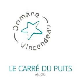 plp_product_/wine/domane-vincendeau-le-carre-du-puits-2019