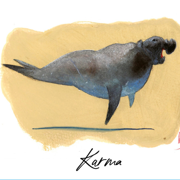 plp_product_/wine/domaine-des-albatros-karma-2024