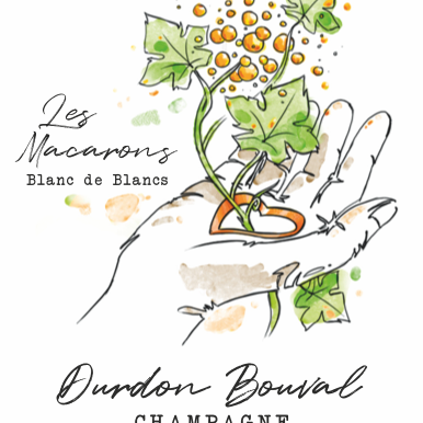 plp_product_/wine/champagne-durdon-bouval-les-macarons-2024-non-revendique