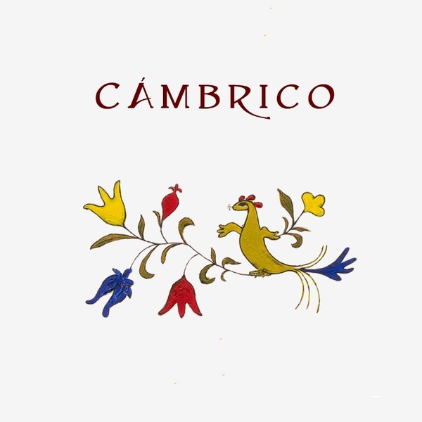plp_product_/wine/cambrico-cambrico-rufete-blanca-pizarra-2019
