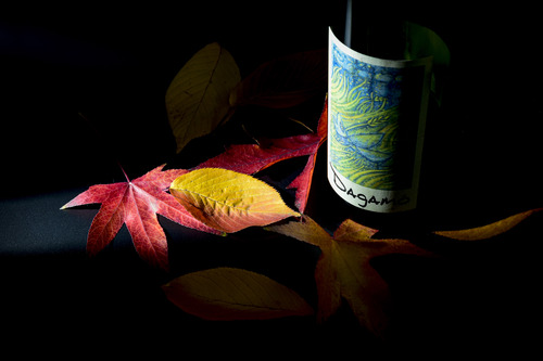 gallery_imgs
