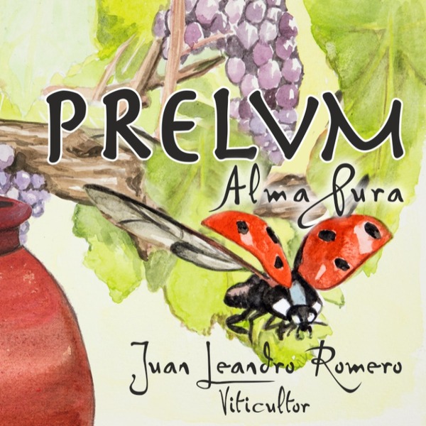 plp_product_/wine/prelvm-prelvm-alma-pura-2022