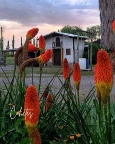 profile_gallery_imgs