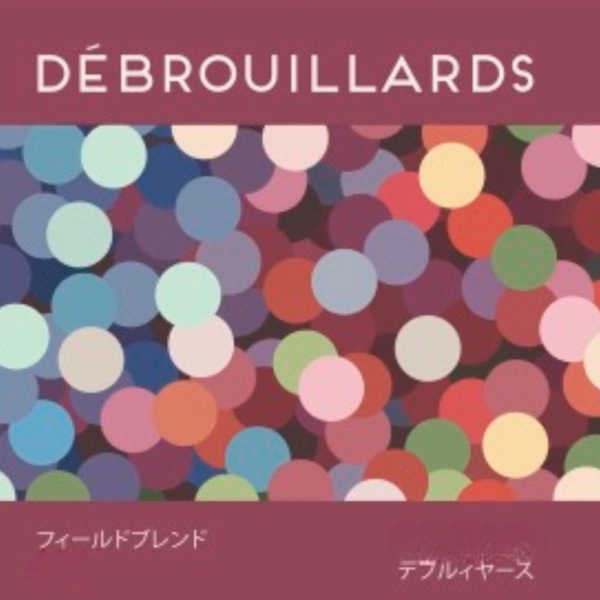 plp_product_/wine/les-vins-debrouillards-debrouillards-field-blend-1-2022