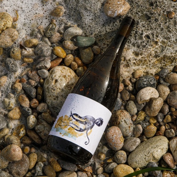 plp_product_/wine/formiche-vini-ansonica-doc-costa-dell-argentario-2023