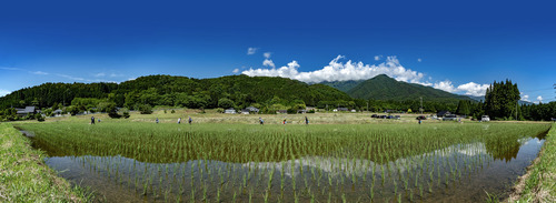 gallery_imgs