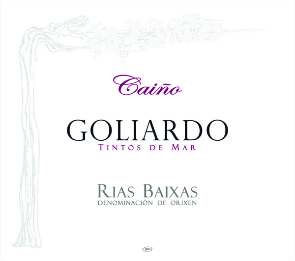 plp_product_/wine/bodegas-forjas-del-salnes-goliardo-caino-2016