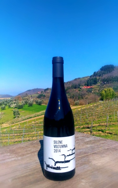 plp_product_/wine/voltumna-silene-2014