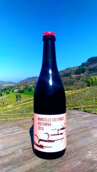 plp_product_/wine/voltumna-marcello-colfondo-2018