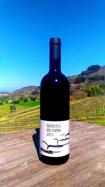 plp_product_/wine/voltumna-querciolo-2015