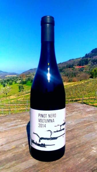 plp_product_/wine/voltumna-pinot-nero-2014