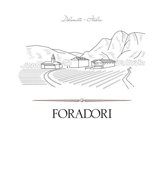plp_product_/wine/foradori-teroldego-2019
