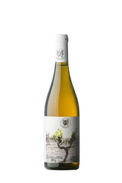 plp_product_/wine/barracco-francesca-catarratto-2018-copy