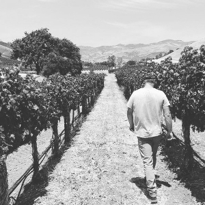 plp_product_/profile/roarkwinecompany