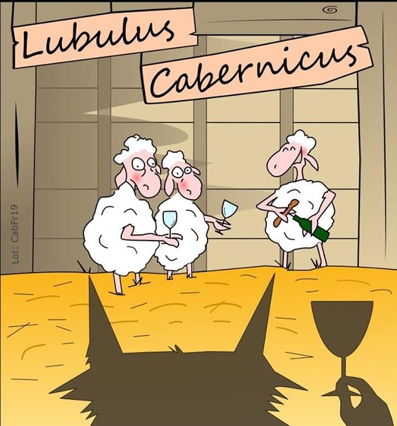 plp_product_/wine/domaine-thuronis-lubulus-cabernicus-2019