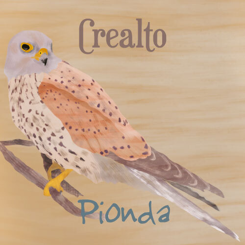 plp_product_/wine/terre-di-cardona-matunei-crealto-crealto-pionda-2017