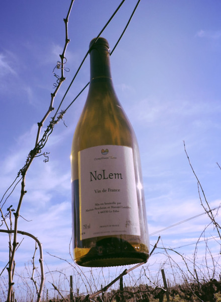 plp_product_/wine/domaine-complemen-terre-nolem-2018