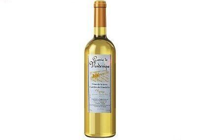 plp_product_/wine/bodega-garcia-de-verdevique-vigiriego-barrica-2016