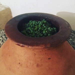 plp_product_/profile/lapatiwines