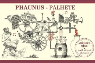 plp_product_/wine/aphros-phaunus-palhete-2019