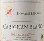 Carignan Blanc