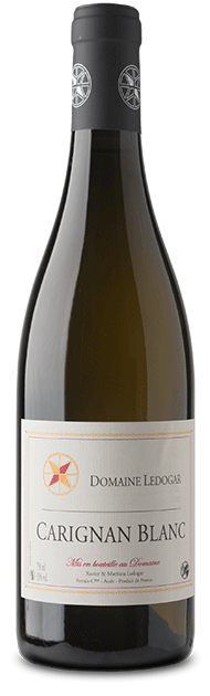 Carignan Blanc