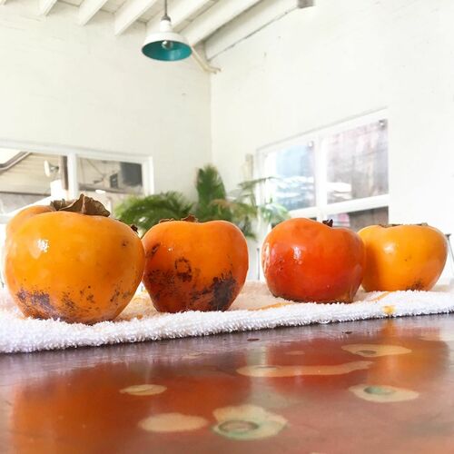 gallery_imgs