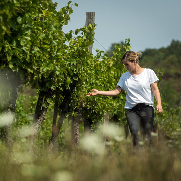 plp_product_/profile/reka.koncz-wines
