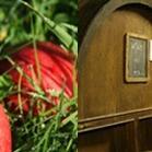 plp_product_/profile/french-libation